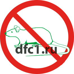 Уничтожение крыс в Казани