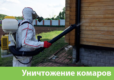 Уничтожение комаров в городе Казань